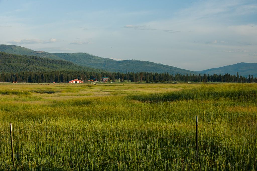 9701 Provence Lane, Marion, MT 59925 photo 15