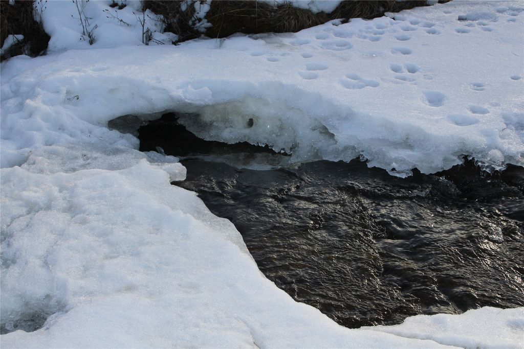 9701 Provence Lane, Marion, MT 59925 photo 34