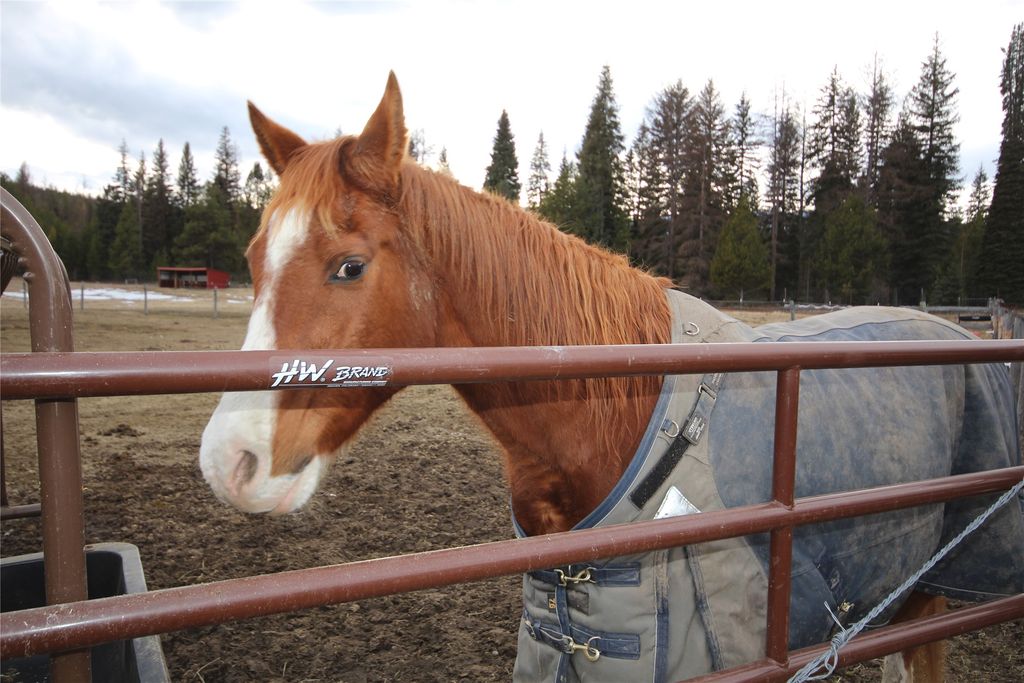 9701 Provence Lane, Marion, MT 59925 photo 60