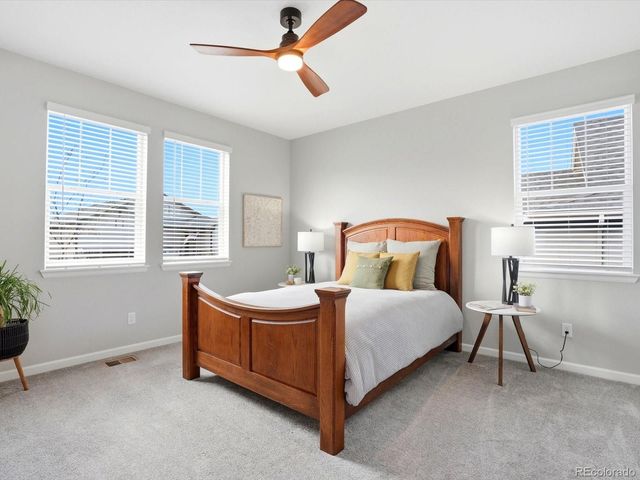 1196 Melting Snow Way, Castle Rock, CO 80109