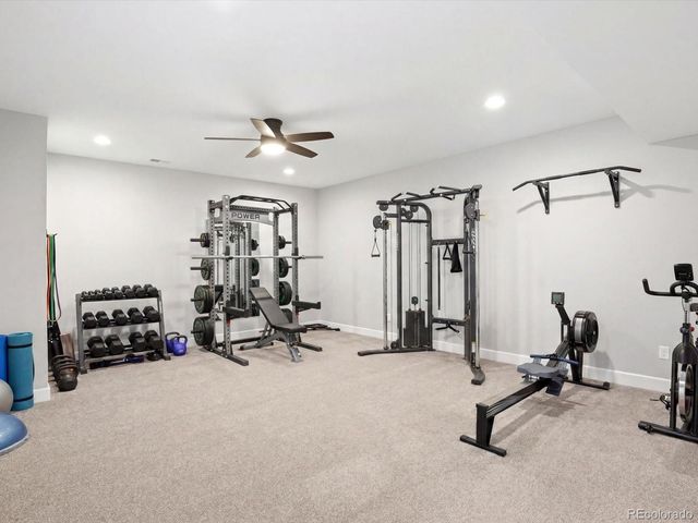 1196 Melting Snow Way, Castle Rock, CO 80109