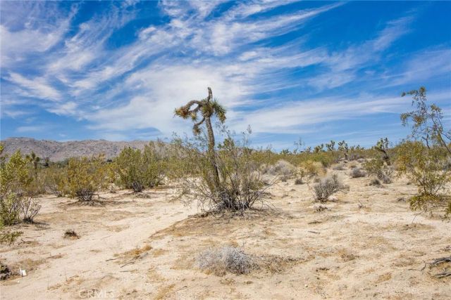 6563 Saddleback, Joshua Tree, CA 92252