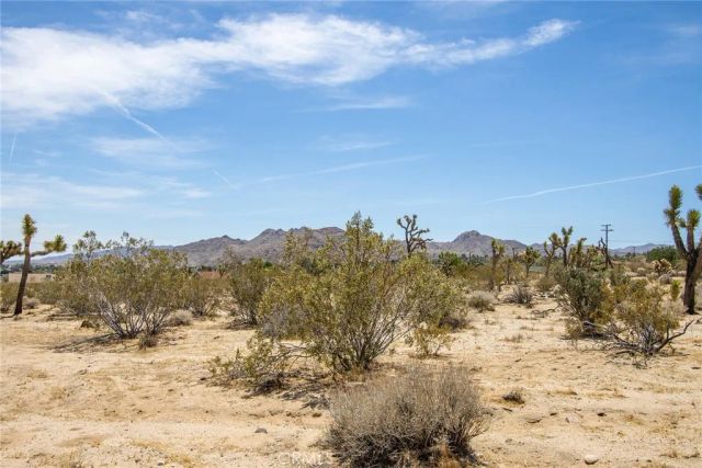 6563 Saddleback, Joshua Tree, CA 92252