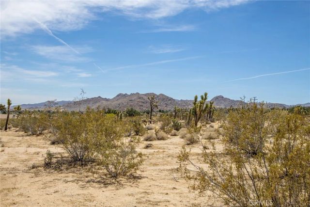 6563 Saddleback, Joshua Tree, CA 92252