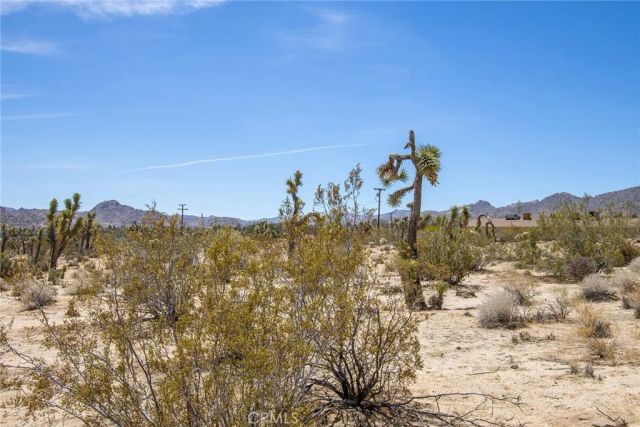 6563 Saddleback, Joshua Tree, CA 92252