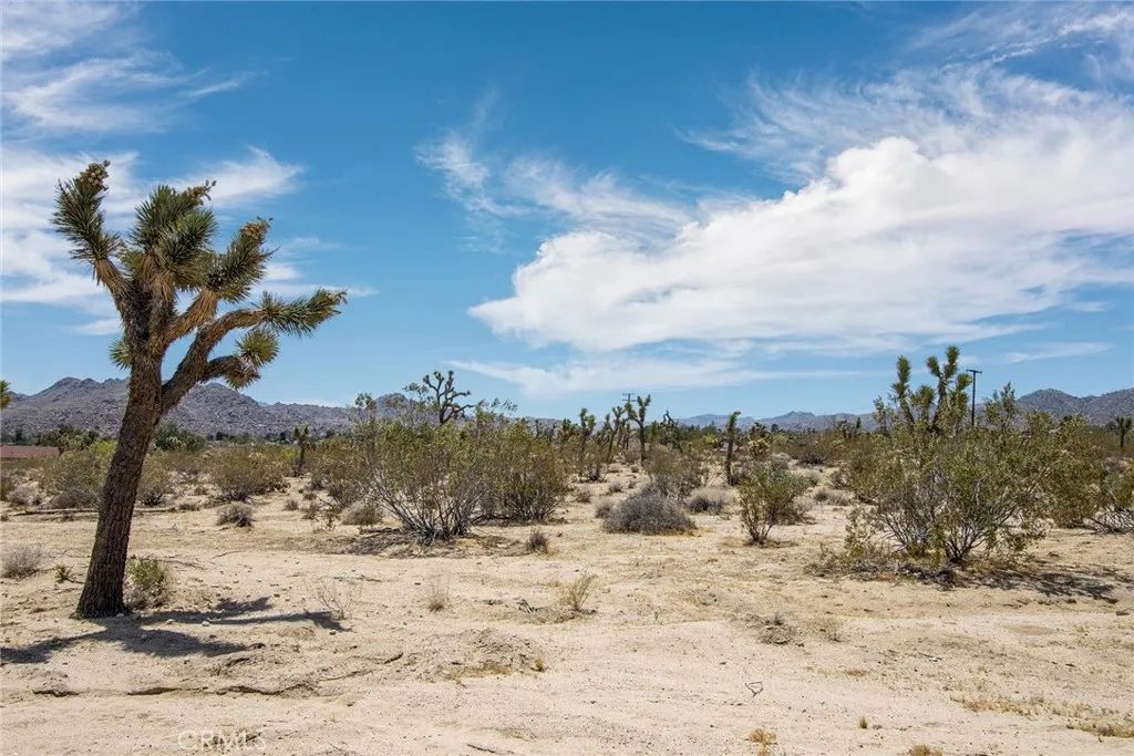 6563 Saddleback, Joshua Tree, CA 92252
