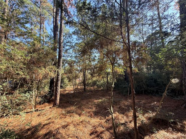 Lot 59 S. Hill Ridge RD, Bastrop, TX 78602
