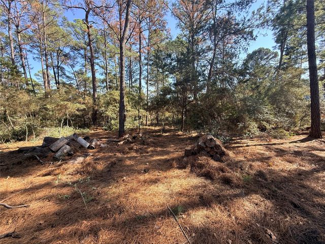 Lot 59 S. Hill Ridge RD, Bastrop, TX 78602