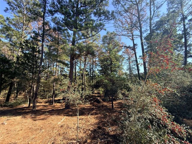 Lot 59 S. Hill Ridge RD, Bastrop, TX 78602