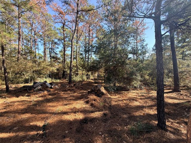 Lot 59 S. Hill Ridge RD, Bastrop, TX 78602