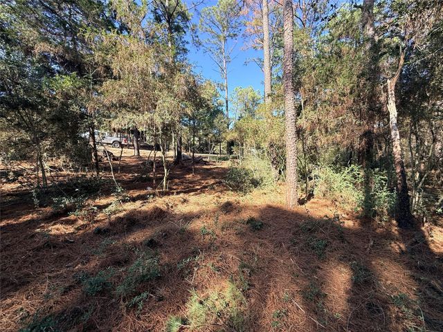 Lot 59 S. Hill Ridge RD, Bastrop, TX 78602