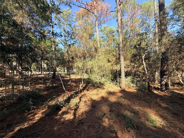 Lot 59 S. Hill Ridge RD, Bastrop, TX 78602