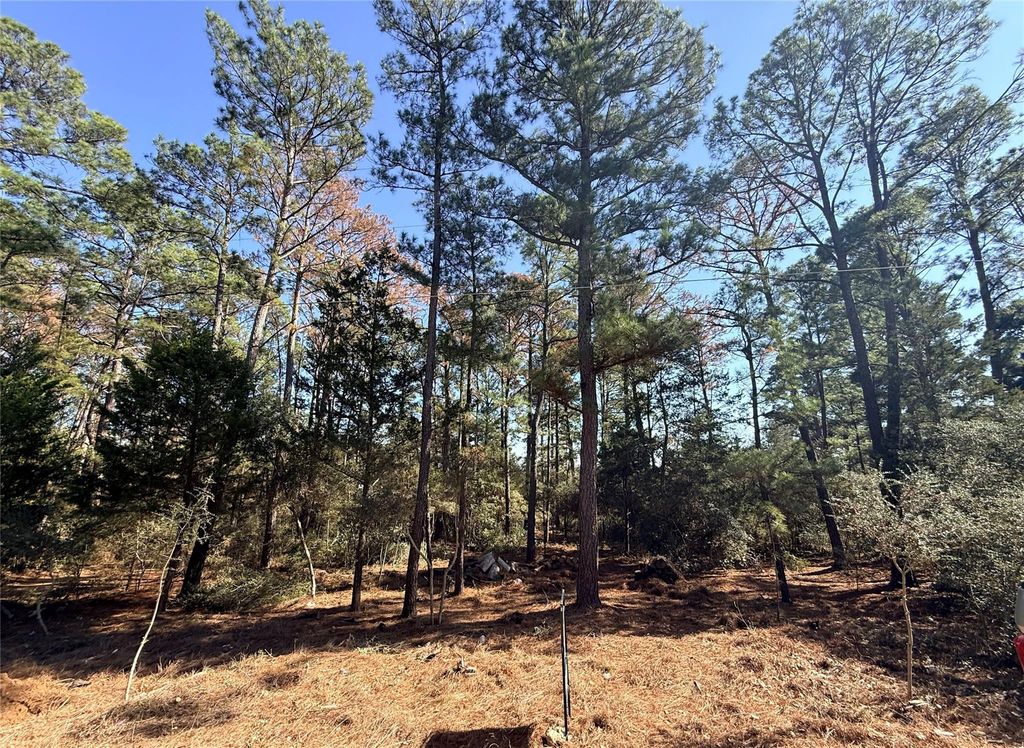 Lot 59 S. Hill Ridge RD, Bastrop, TX 78602