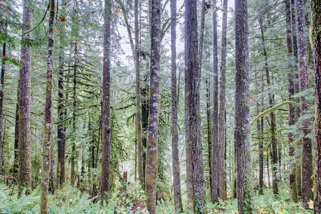 183 Big River Boulevard E, Deming, WA 98244