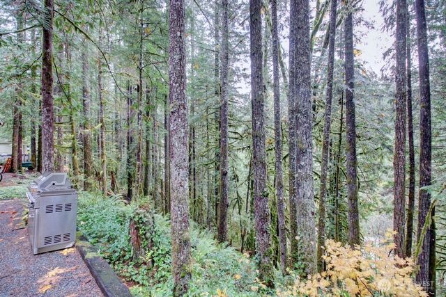 183 Big River Boulevard E, Deming, WA 98244