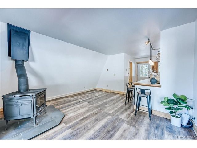 796 Valley Of The Sun Dr, Fairplay, CO 80440