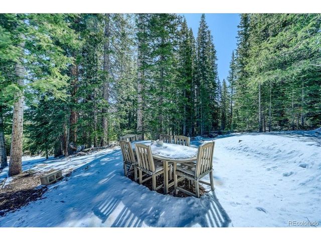 796 Valley Of The Sun Dr, Fairplay, CO 80440