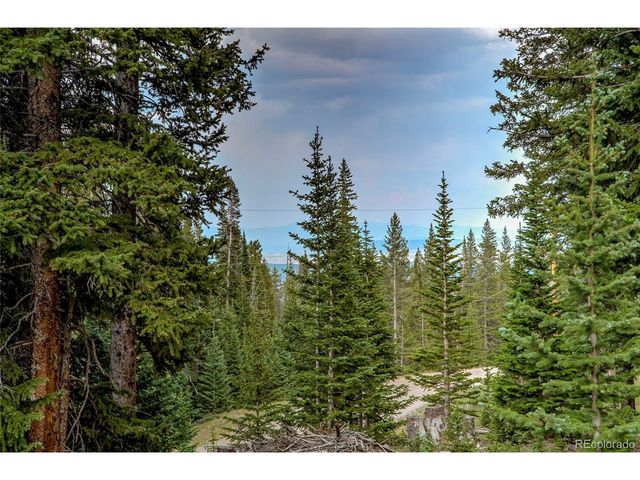 796 Valley Of The Sun Dr, Fairplay, CO 80440