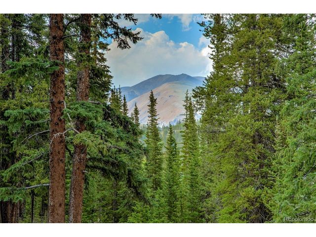 796 Valley Of The Sun Dr, Fairplay, CO 80440