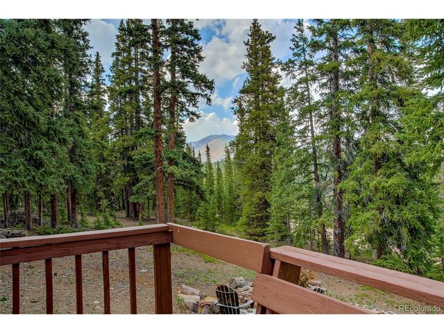 796 Valley Of The Sun Dr, Fairplay, CO 80440