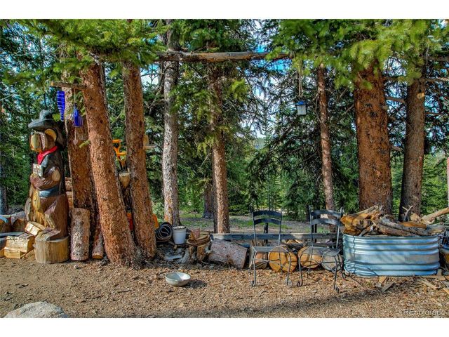 796 Valley Of The Sun Dr, Fairplay, CO 80440