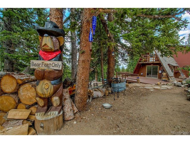 796 Valley Of The Sun Dr, Fairplay, CO 80440
