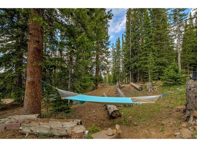 796 Valley Of The Sun Dr, Fairplay, CO 80440