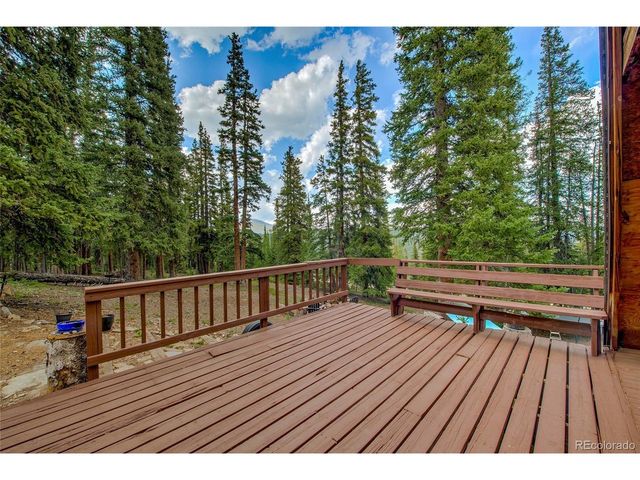 796 Valley Of The Sun Dr, Fairplay, CO 80440