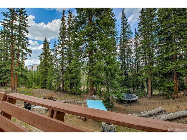 796 Valley Of The Sun Dr, Fairplay, CO 80440