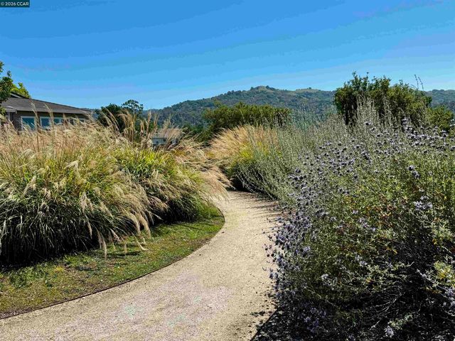 568 High Eagle Ct, Walnut Creek, CA 94595