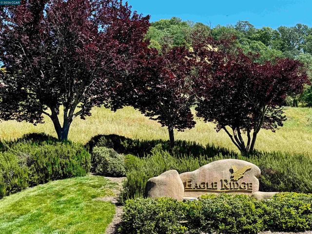 568 High Eagle Ct, Walnut Creek, CA 94595