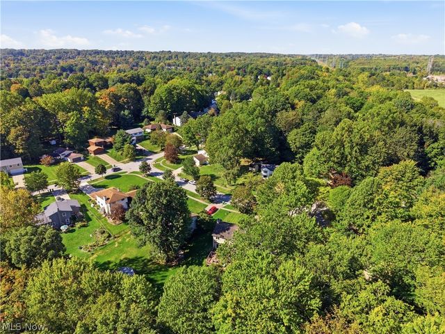 10459 Woodchuck Court, Twinsburg, OH 44087