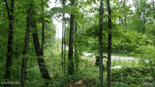 837 Rock Springs Rd, Celina, TN 38551