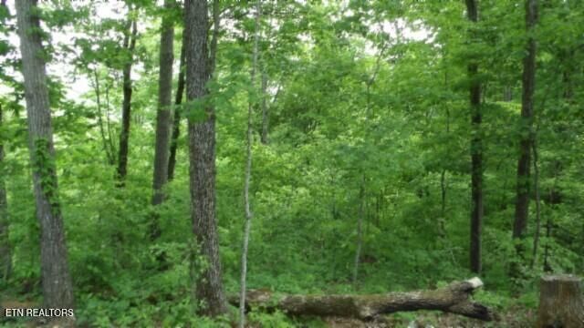 837 Rock Springs Rd, Celina, TN 38551