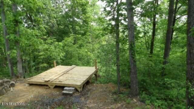 837 Rock Springs Rd, Celina, TN 38551