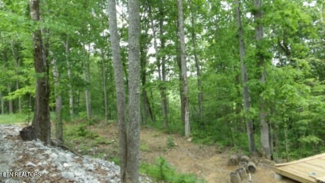 837 Rock Springs Rd, Celina, TN 38551