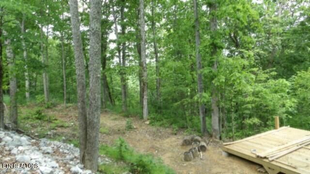 837 Rock Springs Rd, Celina, TN 38551