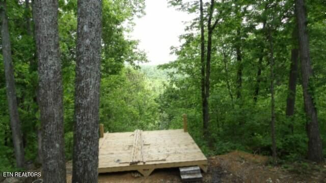 837 Rock Springs Rd, Celina, TN 38551