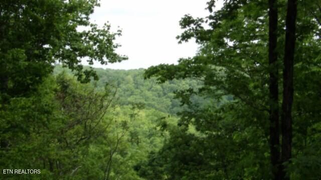 837 Rock Springs Rd, Celina, TN 38551