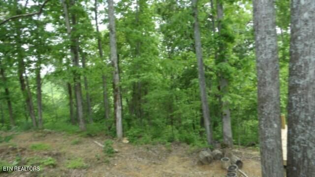 837 Rock Springs Rd, Celina, TN 38551