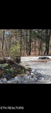 837 Rock Springs Rd, Celina, TN 38551