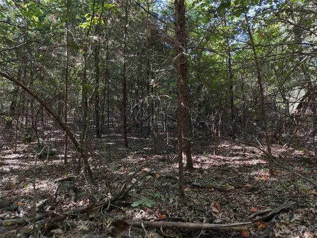 001701 CR 2770, Honey Grove, TX 75446