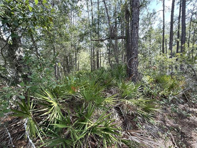 0 LAKE CALOOSA LANDING, Frostproof, FL 33843