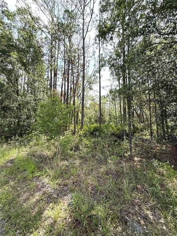 0 LAKE CALOOSA LANDING, Frostproof, FL 33843
