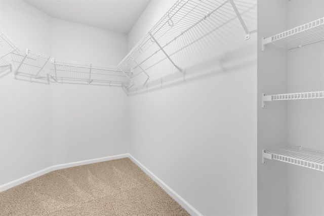 1107 Cherrystone Loop, Conway, SC 29526