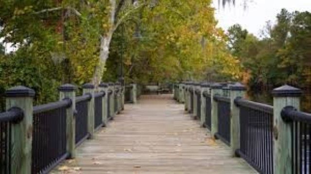 1107 Cherrystone Loop, Conway, SC 29526