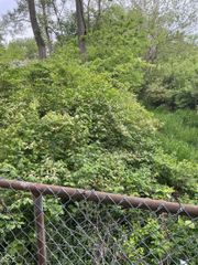 1943 Dequincy Street, Indianapolis, IN 46218