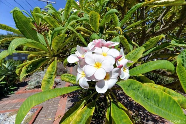 1605 Calle Las Bolas, San Clemente, CA 92672
