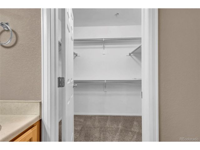 488 Black Feather Loop 215, Castle Rock, CO 80104