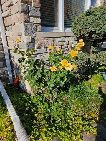 6372 N Sayre Avenue, Chicago, IL 60631